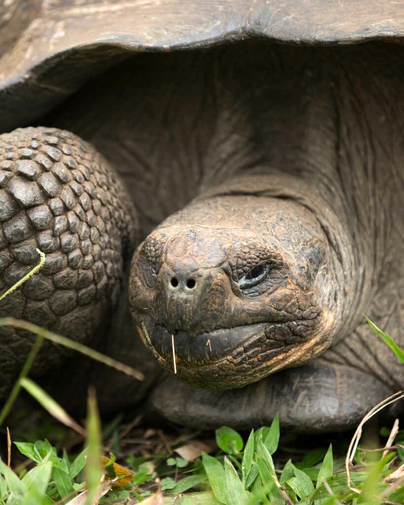 Natural selection Galápagos Islands, Ecuador | OutThere magazine