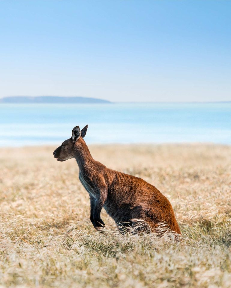 Boundless horizons South Australia, Australia | OutThere magazine