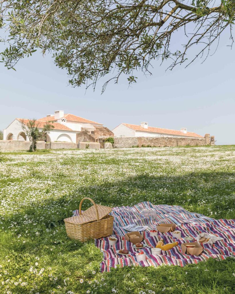 A picnic hamper and a blanket in the grass at São Lourenço do Barrocal, Alentejo, Portugal