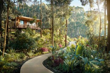 A treehouse at One&Only Gorilla's Nest, Kinigi, Rwanda