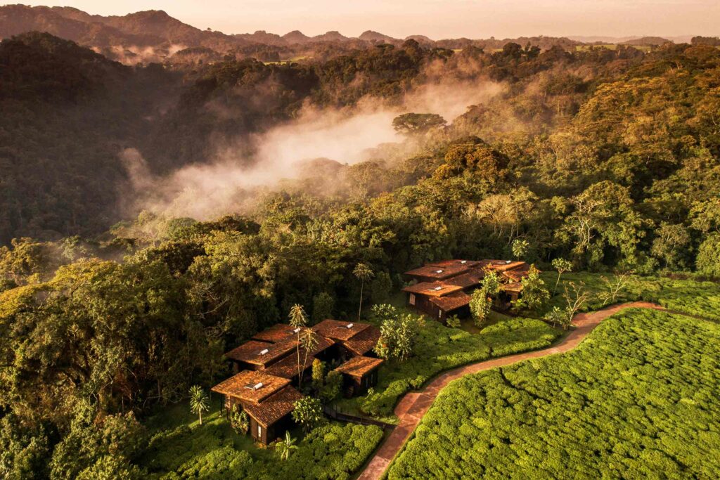 Aerial view of two villas at One&Only Nyungwe House, Gisakura, Rwanda