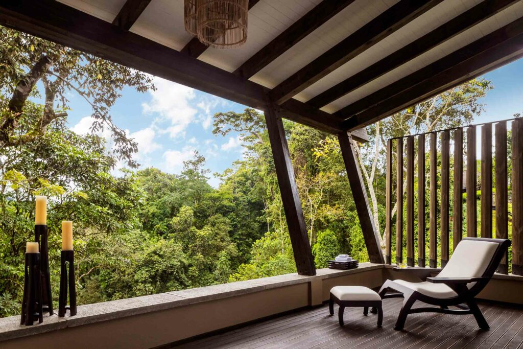 Forest views from a Spa in Gisakura, Rwanda