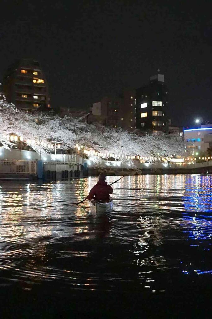 Kayaking at night among cherry blossoms in Spring in Tokyo