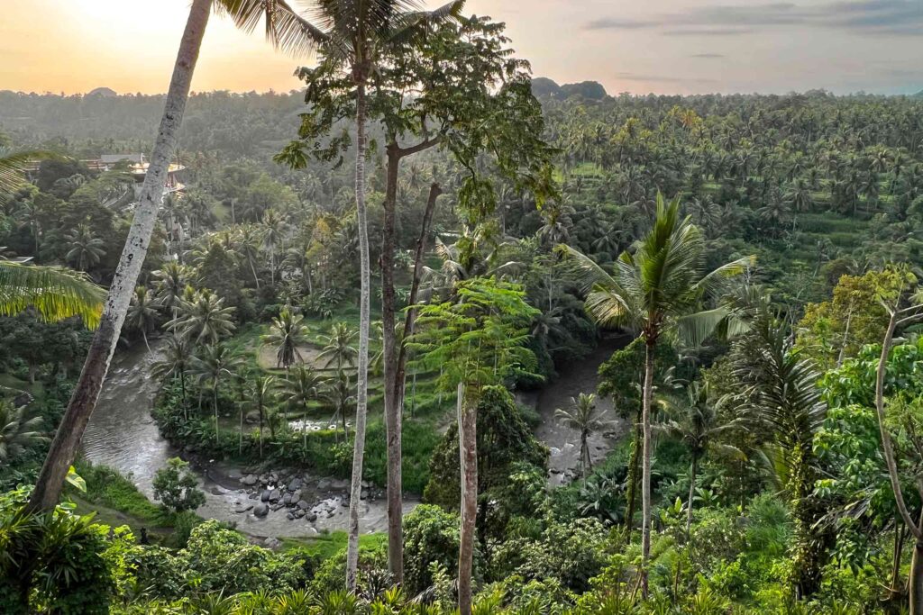 View over the Sayan valley in Ubud, Indonesia