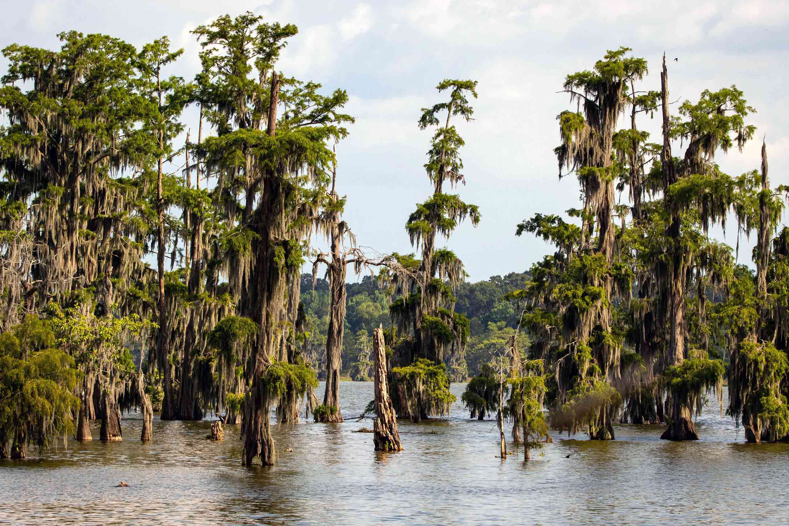 Louisiana, USA