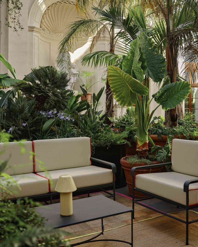 Palm courtyard at Palazzo Talìa, Rome, Italy